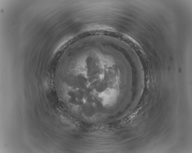 X0000070360775200606091030