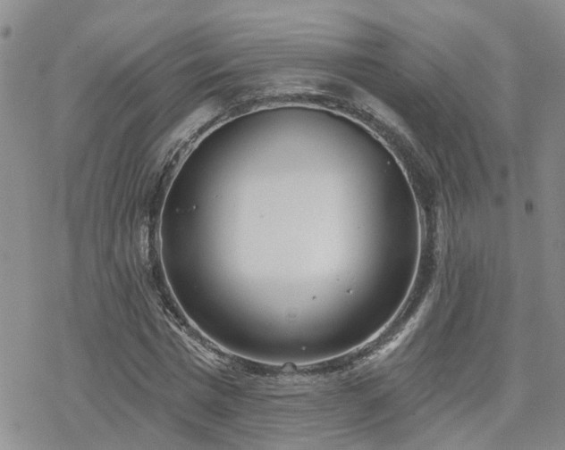 X0000070360777200606091030