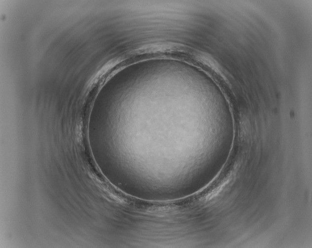 X0000070360778200606091030