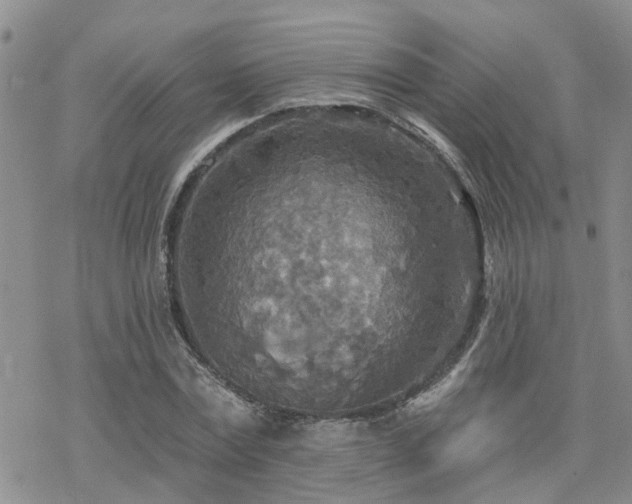 X0000070360779200606091030