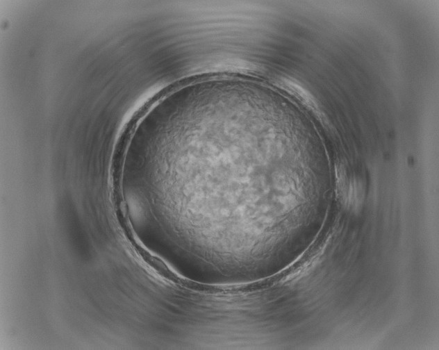 X0000070360780200606091030