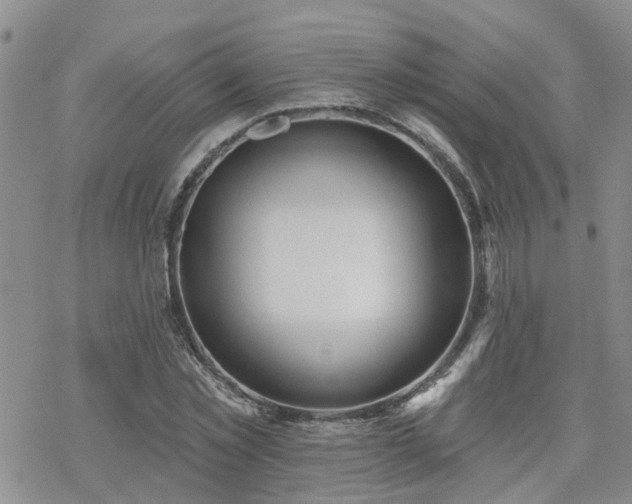 X0000070360781200606091030