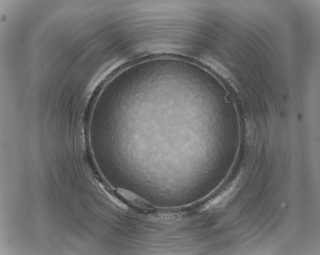 X0000070360782200606091030