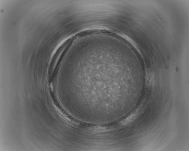 X0000070360783200606091030