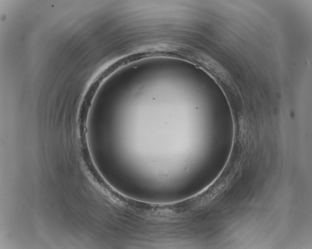 X0000070360784200606091030