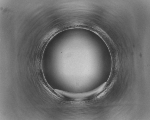 X0000070360785200606091030