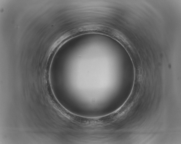 X0000070360786200606091030