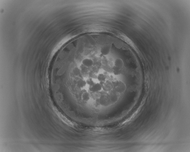 X0000070360787200606091030