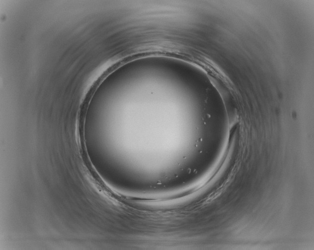 X0000070360788200606091030