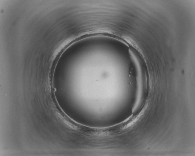 X0000070360789200606091030