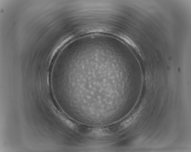 X0000070360790200606091030