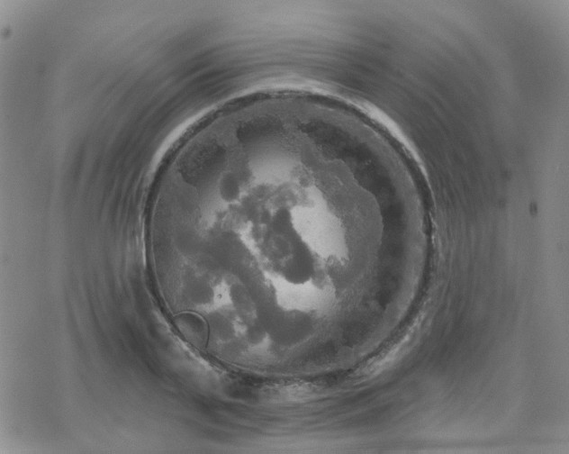 X0000070360791200606091030