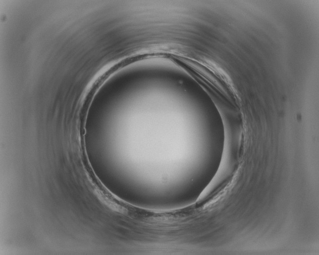 X0000070360792200606091030