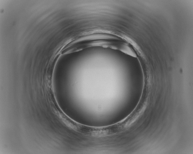 X0000070360793200606091030