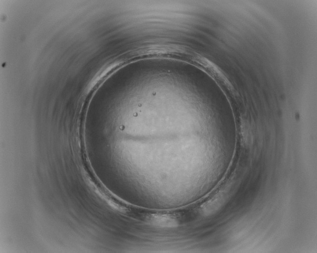 X0000070360794200606091030