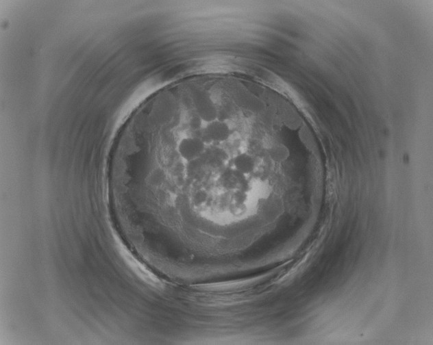 X0000070360795200606091030