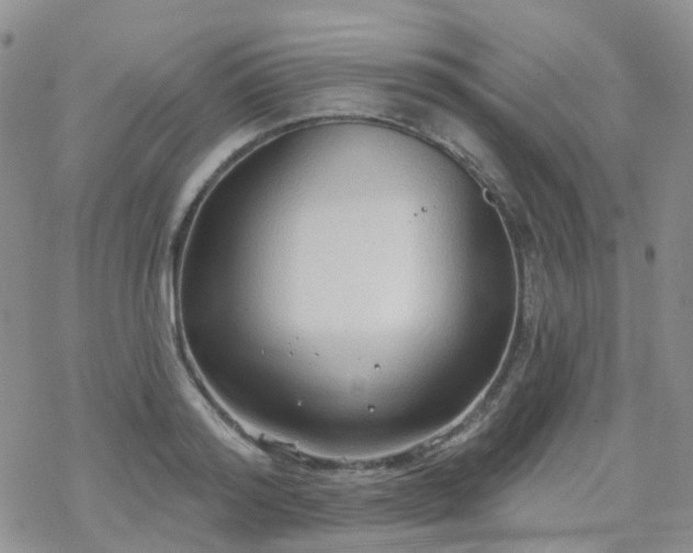 X0000070360796200606091030