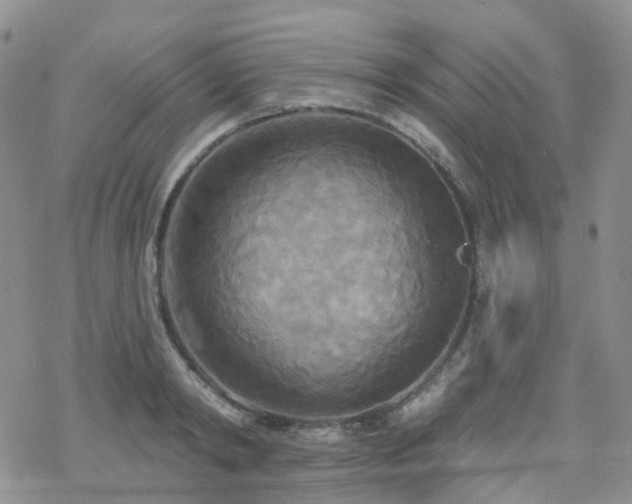 X0000070360798200606091030