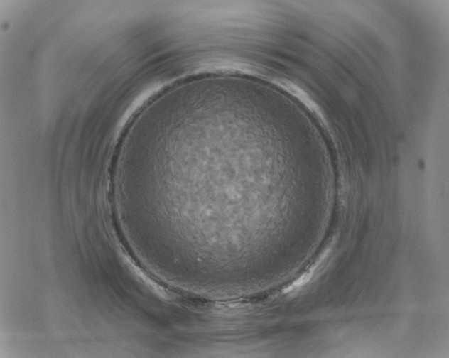 X0000070360799200606091030