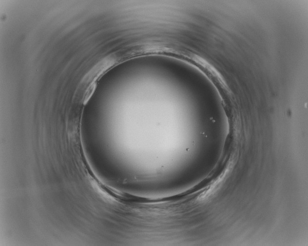 X0000070360801200606091030