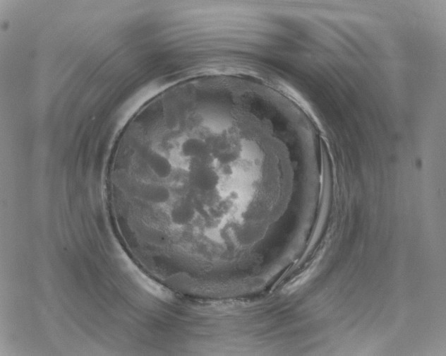 X0000070360803200606091030