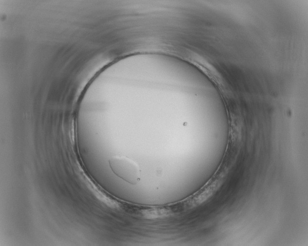 X0000070360804200606091030