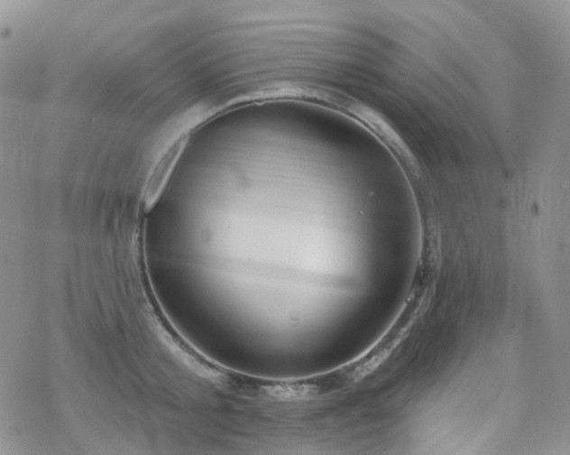 X0000070360805200606091030