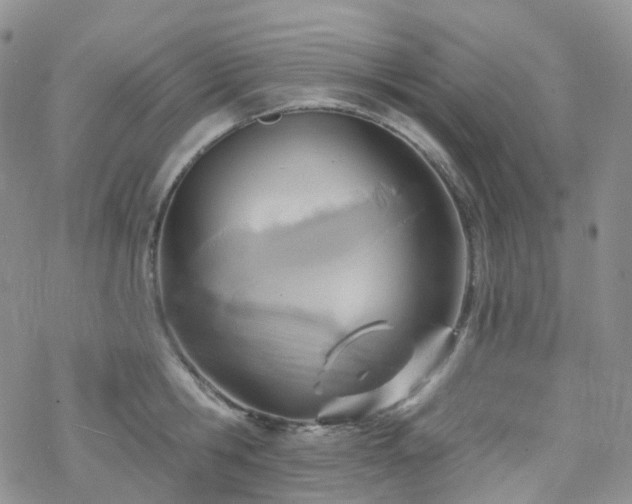 X0000070360806200606091030