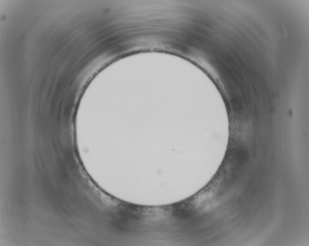 X0000070360807200606091030