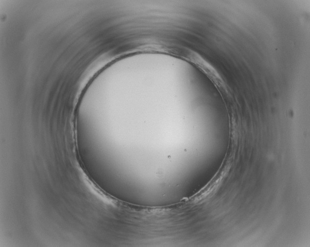 X0000070360808200606091030