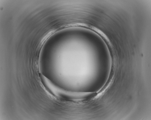 X0000070360809200606091030