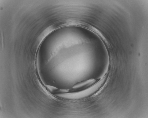 X0000070360810200606091030