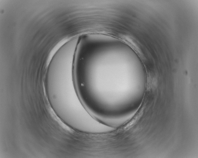 X0000070360812200606091030