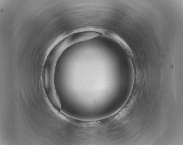 X0000070360813200606091030