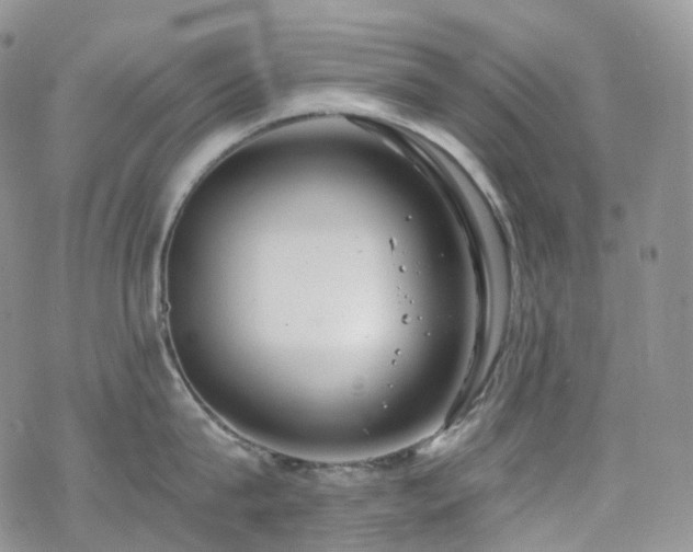 X0000070360815200606091030