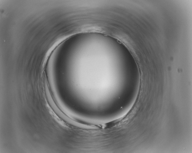 X0000070360816200606091030