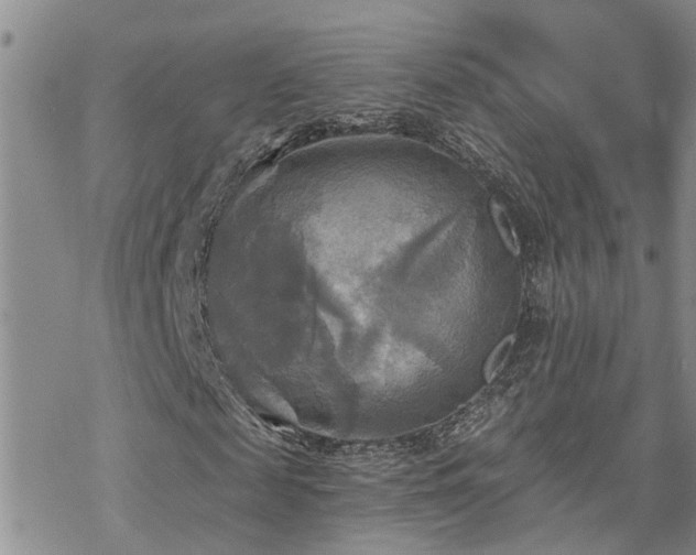 X0000070360817200606091029