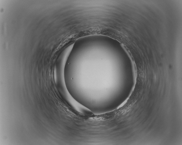 X0000070360818200606091029