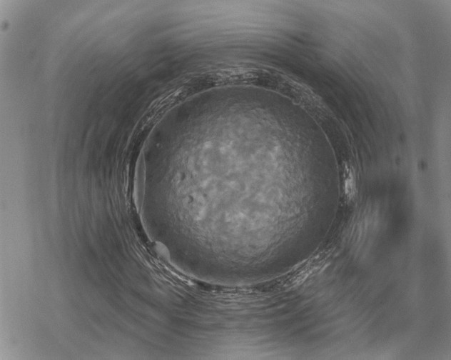 X0000070360819200606091029