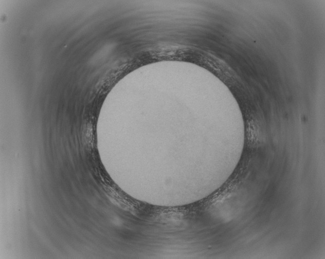 X0000070360820200606091029