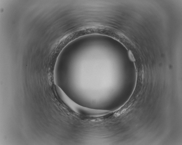 X0000070360822200606091029