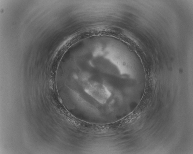 X0000070360823200606091029