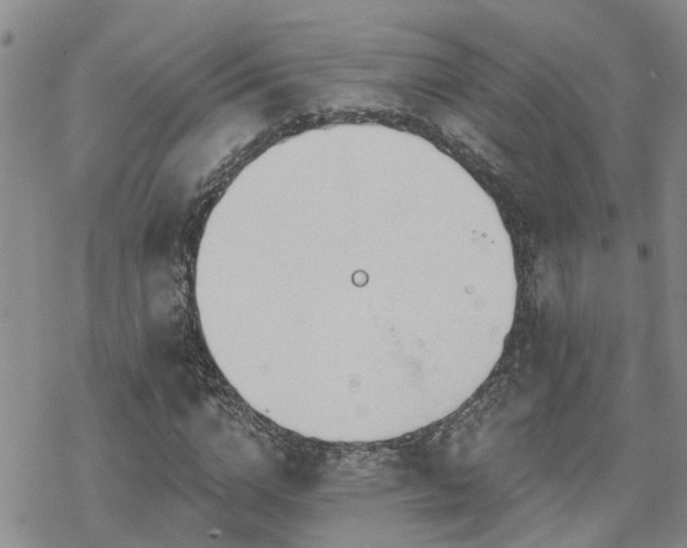 X0000070360824200606091029