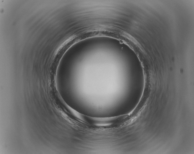 X0000070360826200606091029