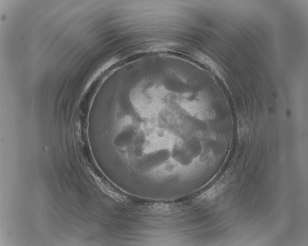 X0000070360827200606091029