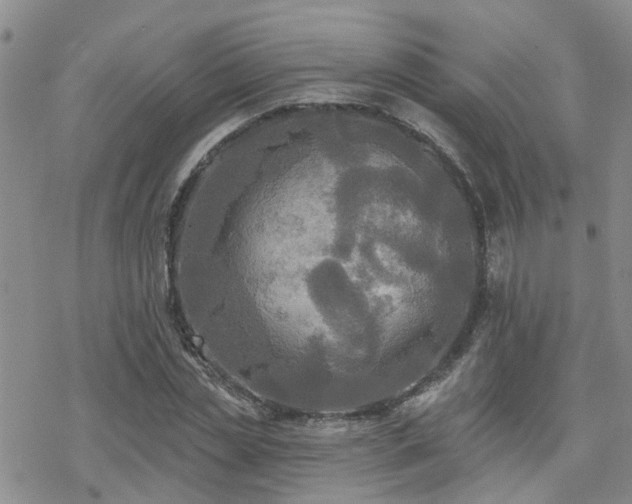 X0000070360829200606091029