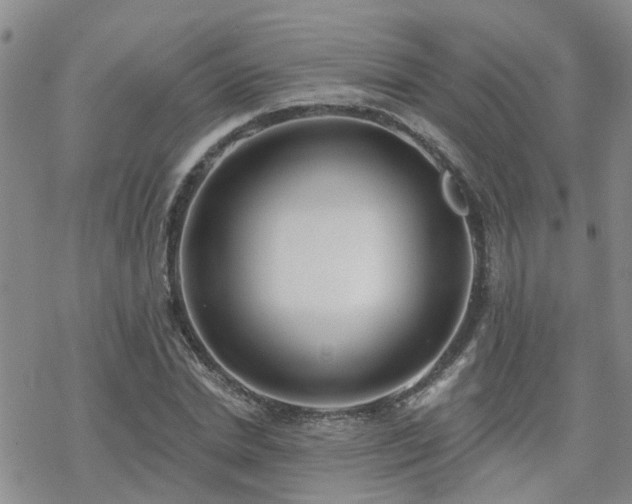 X0000070360830200606091029