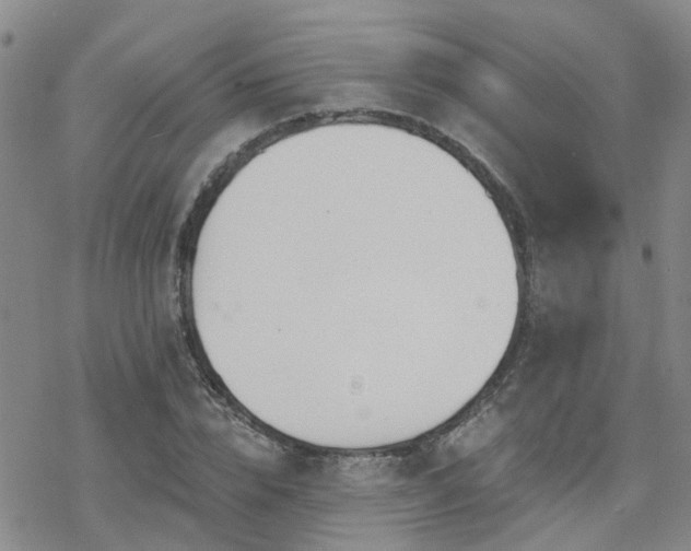 X0000070360832200606091029