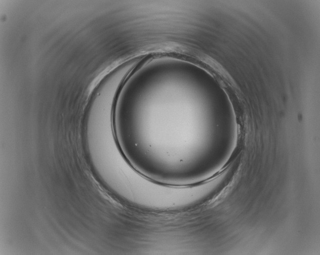 X0000070360834200606091029