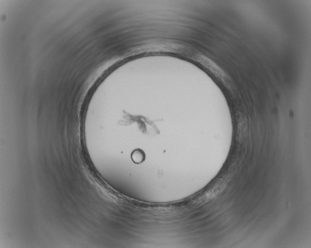 X0000070360836200606091029